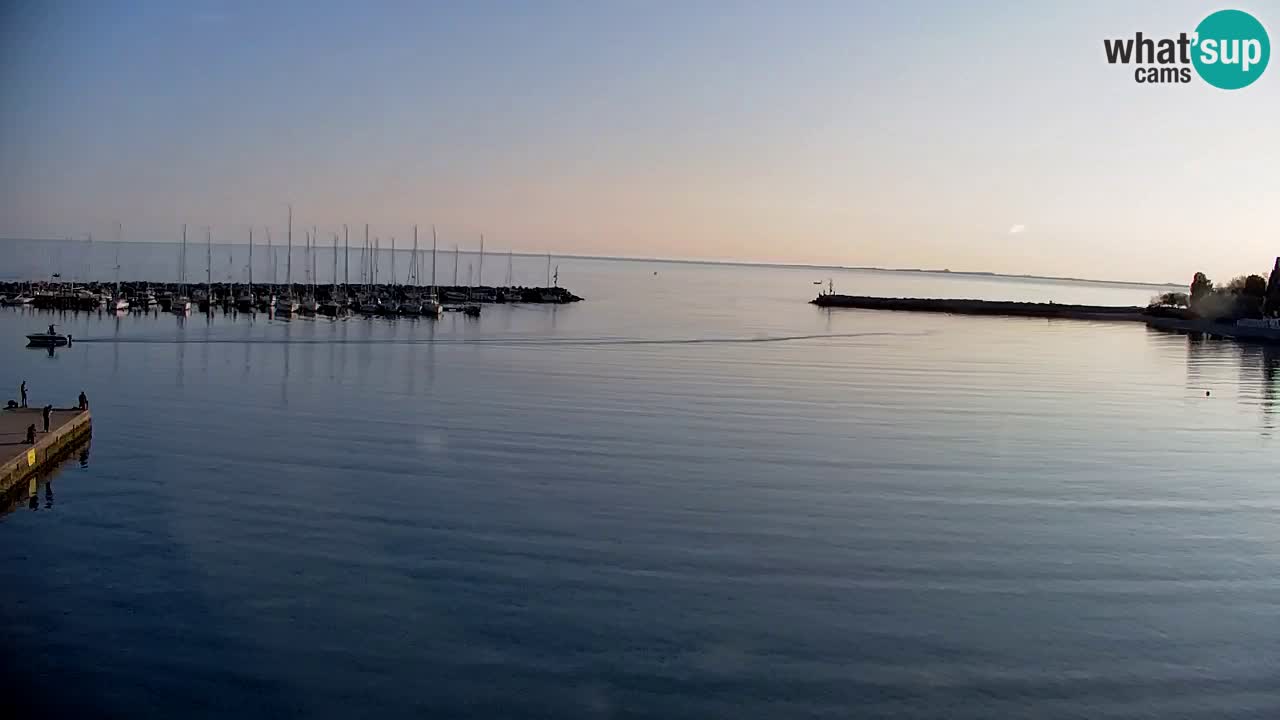 Spletna kamera Sesljan (Sistiana) – Pogled na marino in zaliv