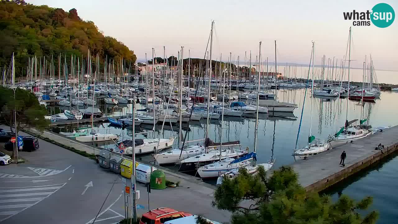 Webcam Sistiana – Marina and Bay Live View