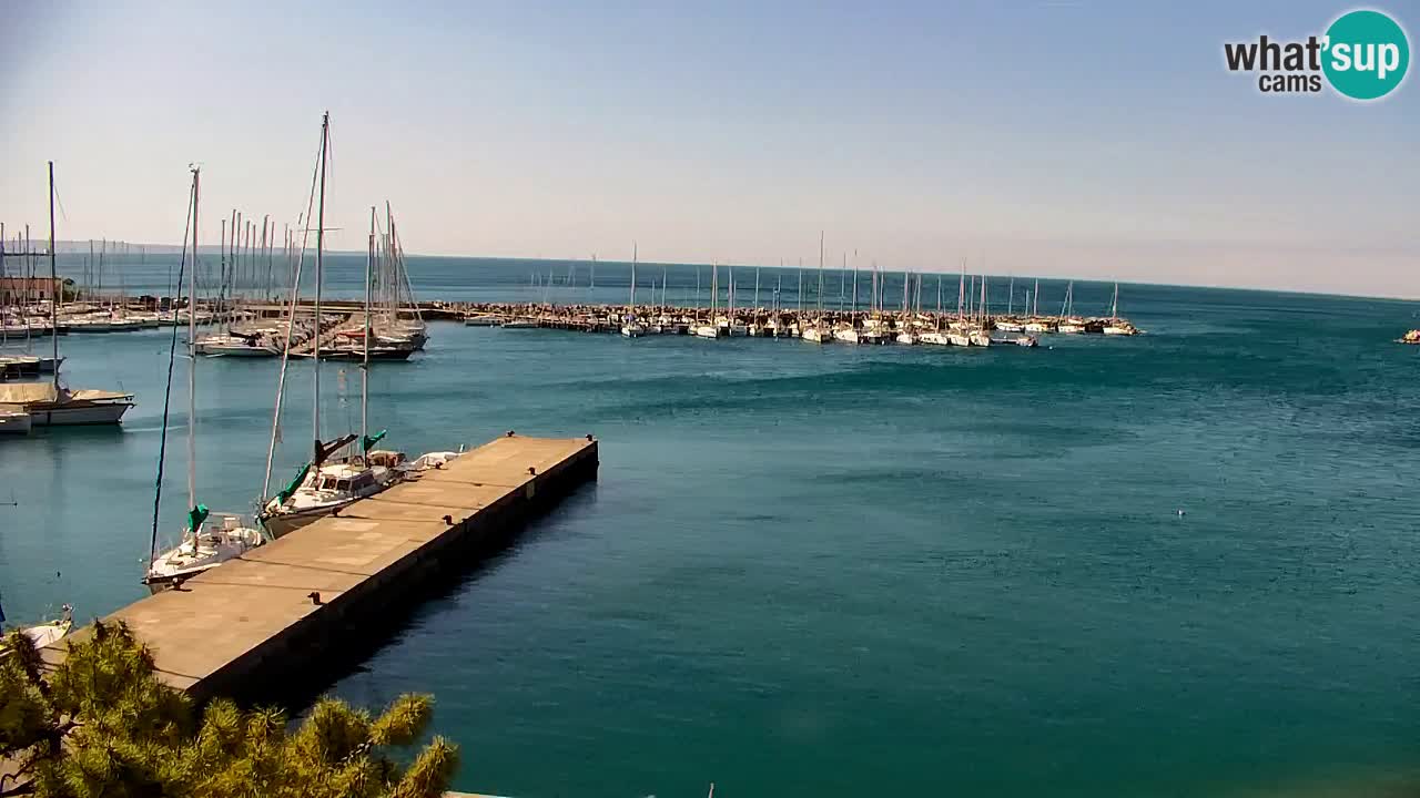 Webcam Sistiana – Vista sulla marina e sulla baia