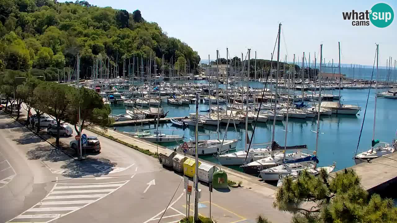 Webcam Sistiana – Pogled na marinu i zaljev