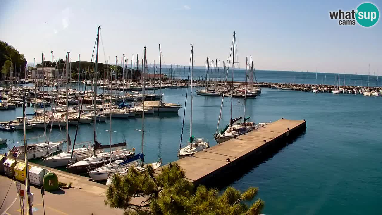 Webcam Sistiana – Blick auf Marina und Bucht