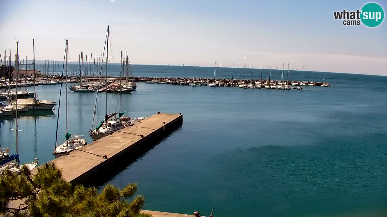 Webcam Sistiana – Vista sulla marina e sulla baia