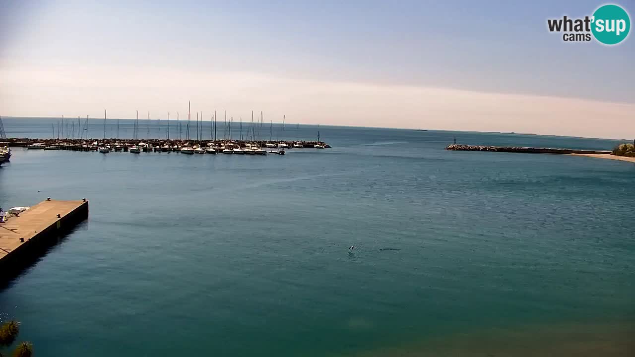 Webcam Sistiana – Blick auf Marina und Bucht