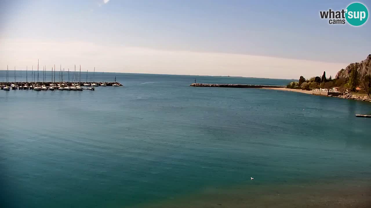 Webcam Sistiana – Pogled na marinu i zaljev