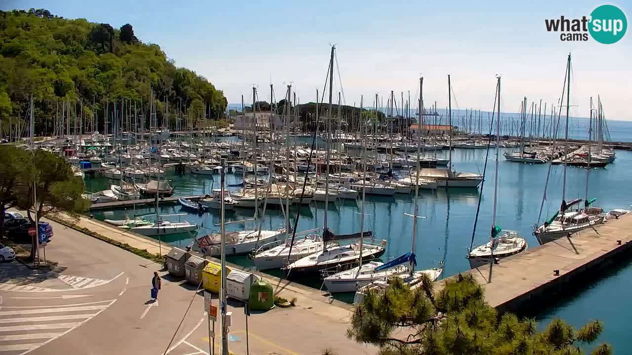 Webcam Sistiana – Marina and Bay Live View