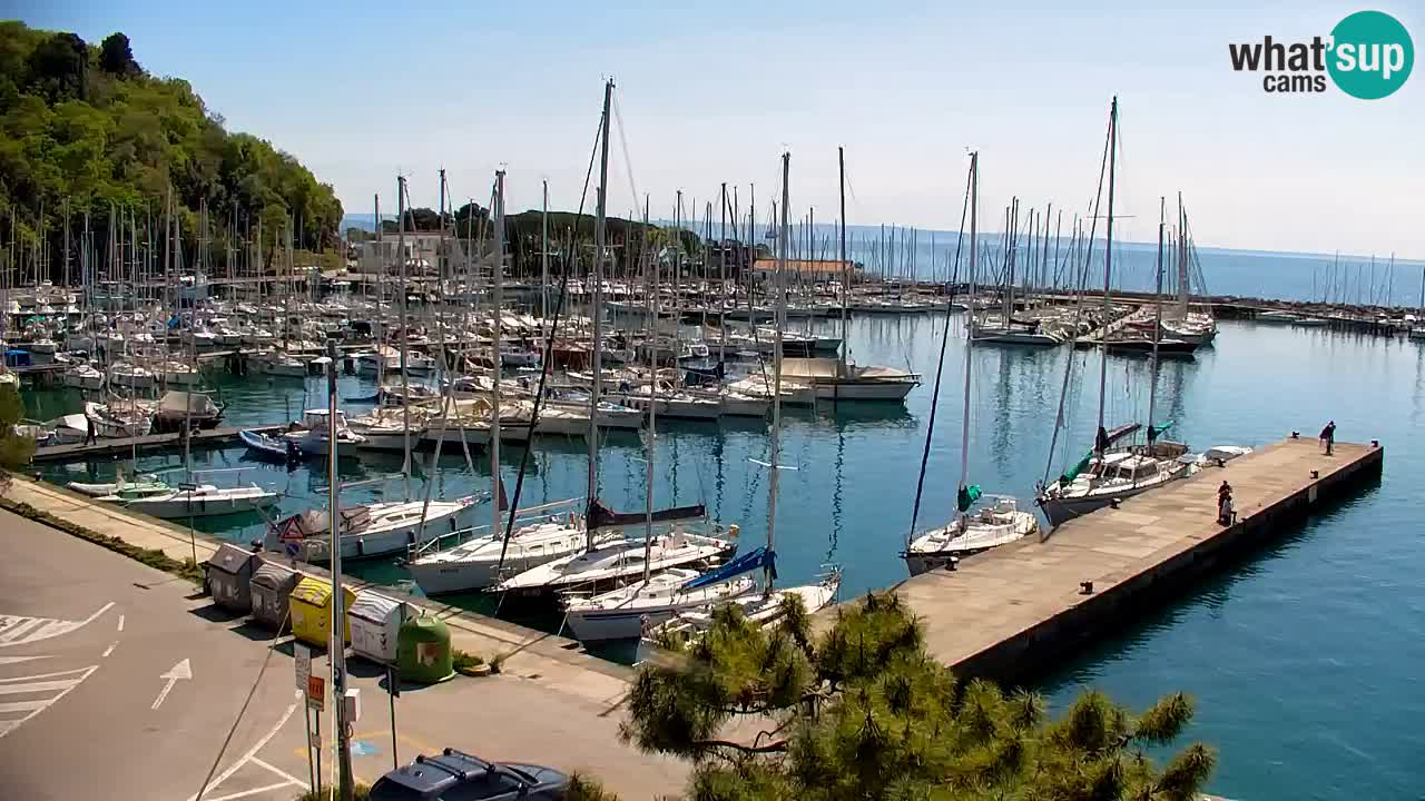 Webcam Sistiana – Vista sulla marina e sulla baia