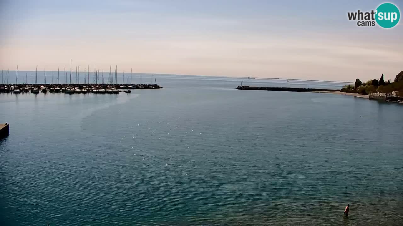 Webcam Sistiana – Marina and Bay Live View