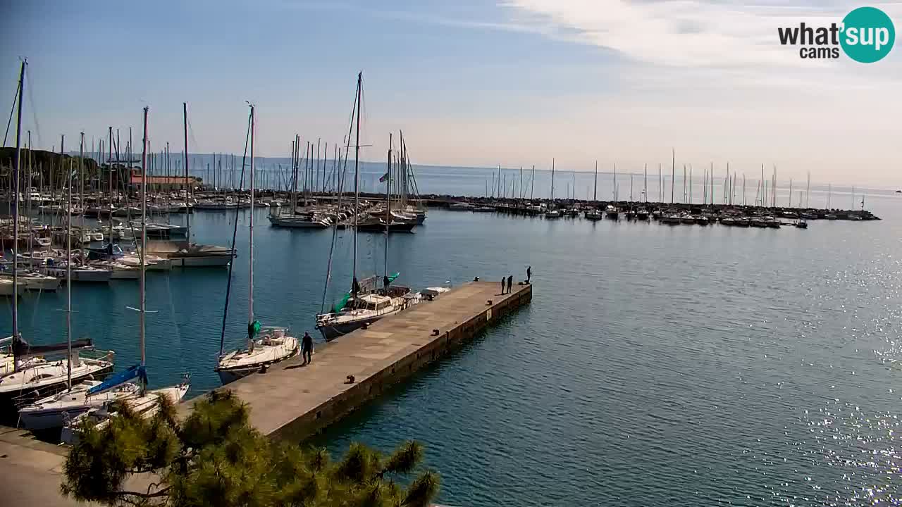 Webcam Sistiana – Vista sobre la marina y la bahía