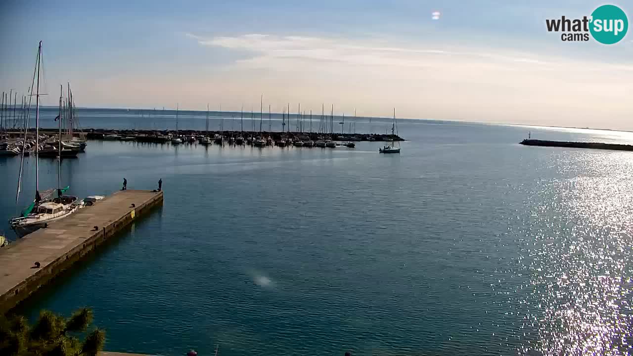 Webcam Sistiana – Vista sulla marina e sulla baia
