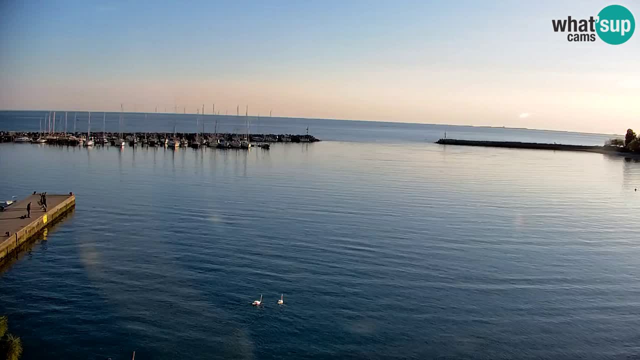 Webcam Sistiana – Vista sulla marina e sulla baia