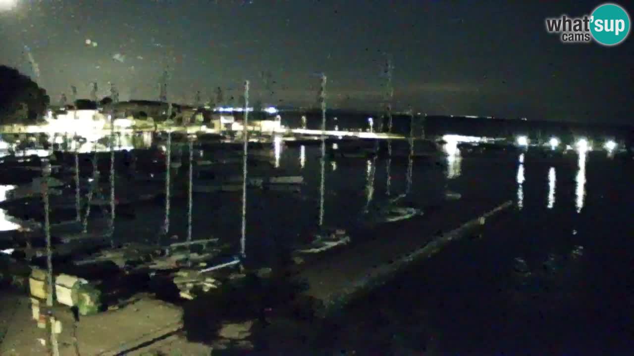 Webcam Sistiana – Vista sulla marina e sulla baia