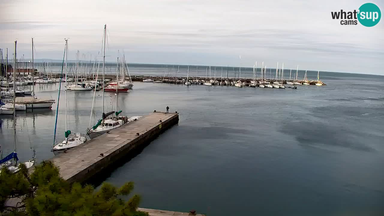 Webcam Sistiana – Vista sobre la marina y la bahía