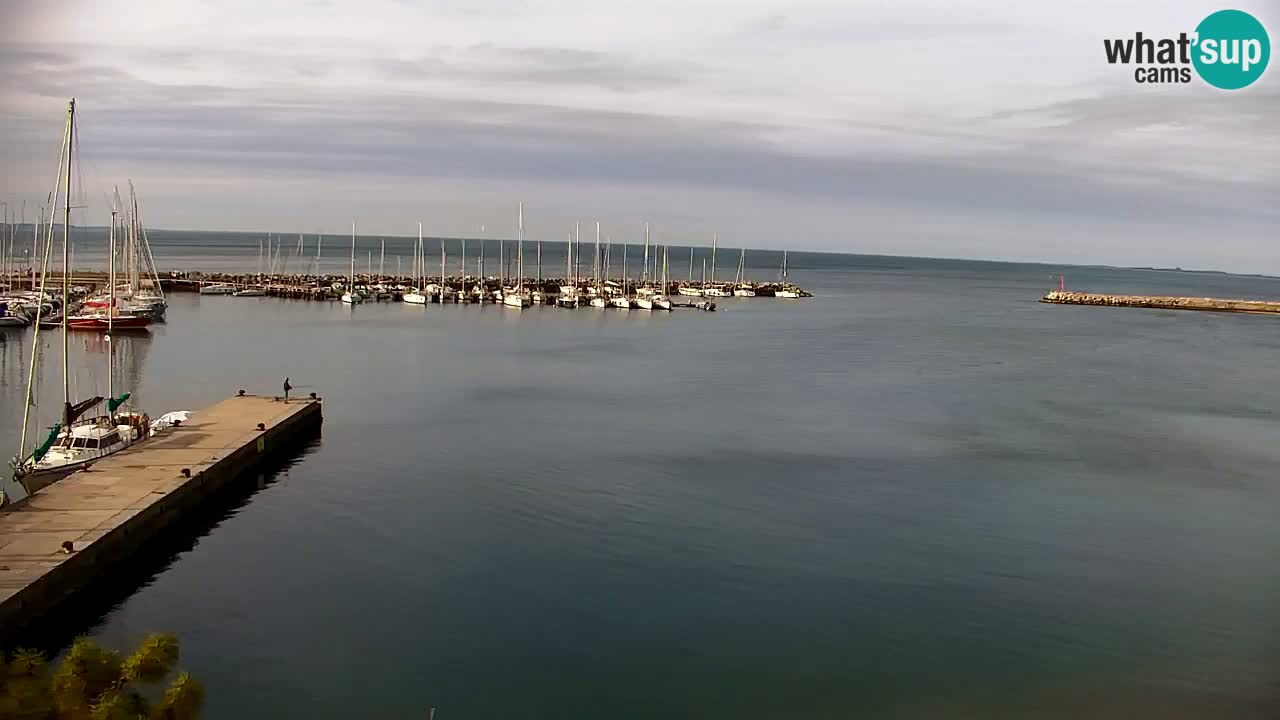 Spletna kamera Sesljan (Sistiana) – Pogled na marino in zaliv