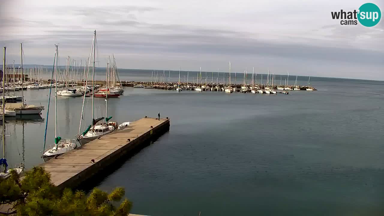 Webcam Sistiana – Marina and Bay Live View