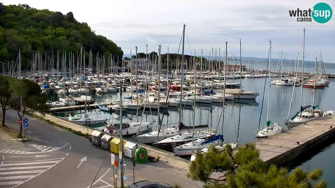 Webcam Sistiana – Pogled na marinu i zaljev