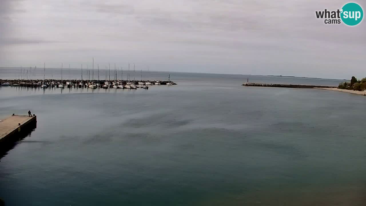 Webcam Sistiana – Marina and Bay Live View