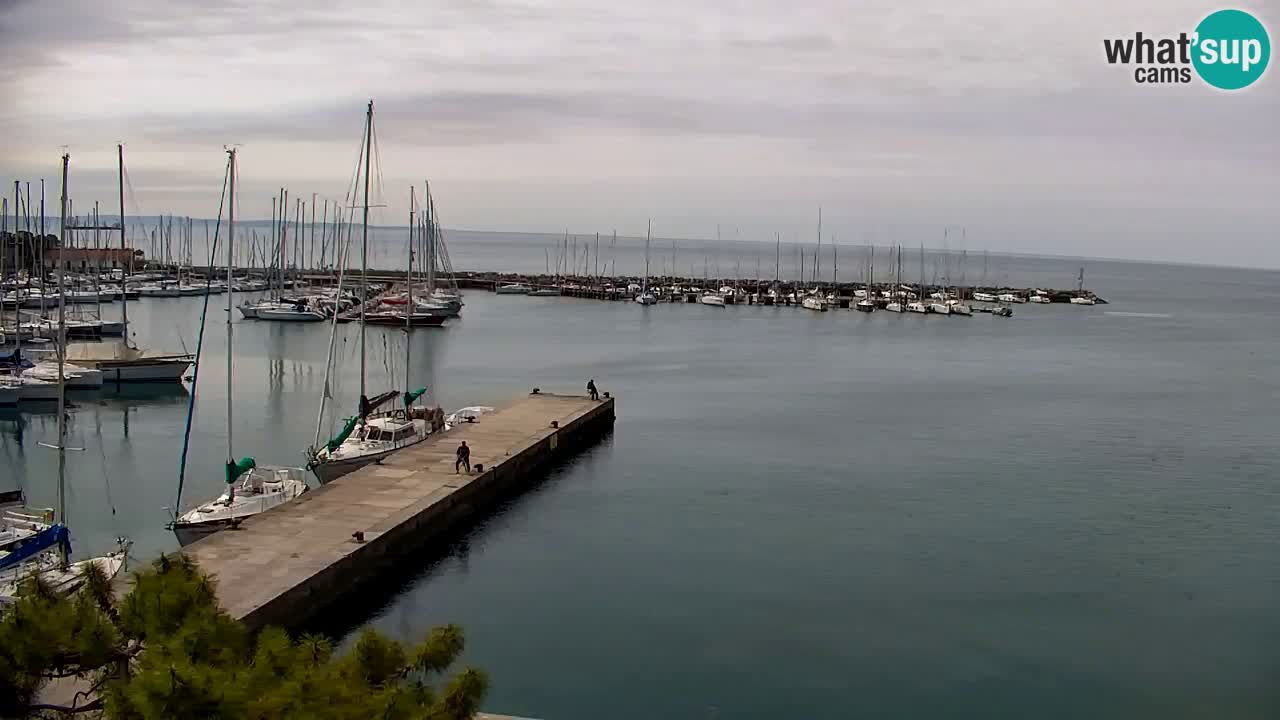 Webcam Sistiana – Vista sulla marina e sulla baia