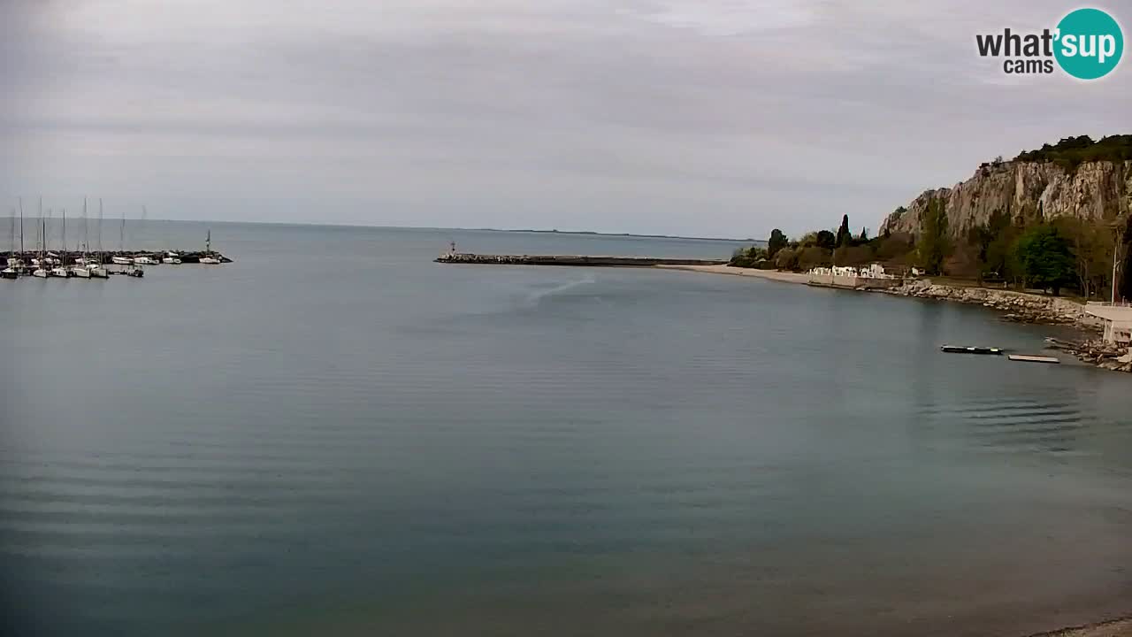 Spletna kamera Sesljan (Sistiana) – Pogled na marino in zaliv