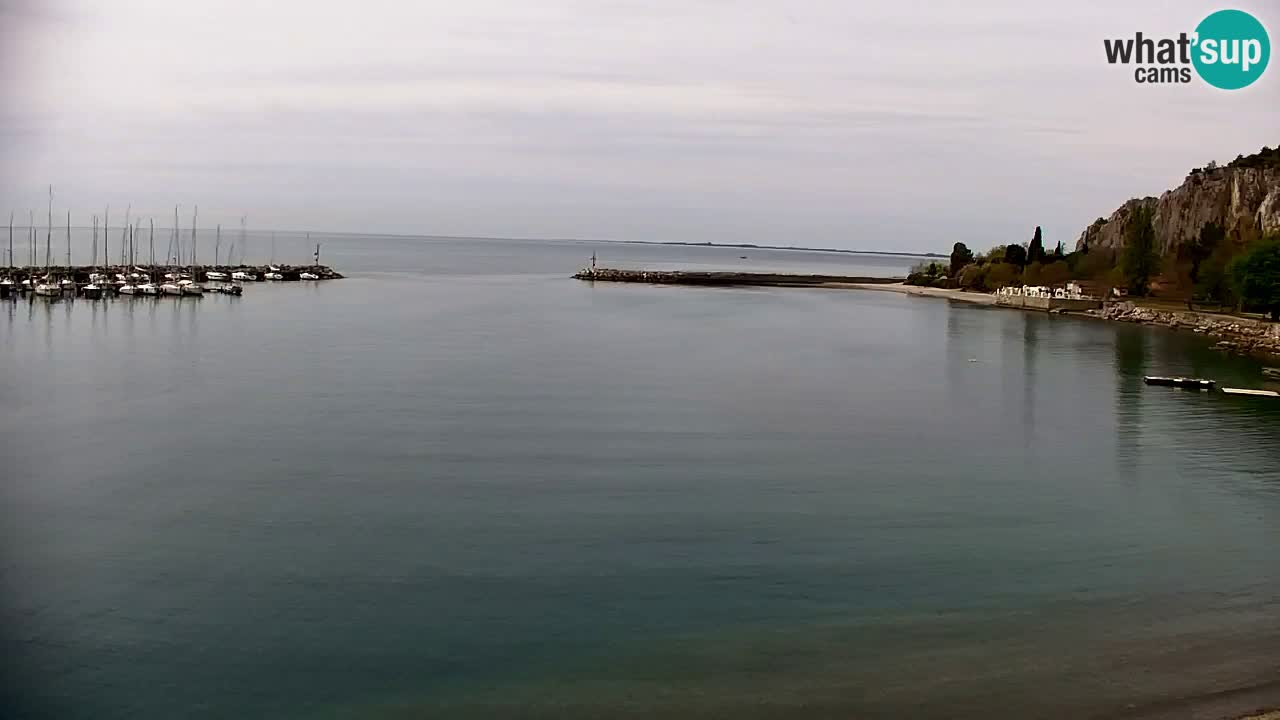 Webcam Sistiana – Marina and Bay Live View