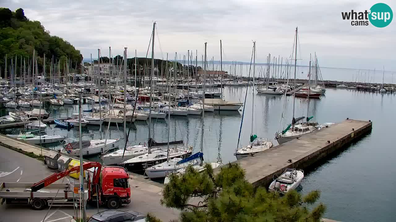 Webcam Sistiana – Vista sulla marina e sulla baia