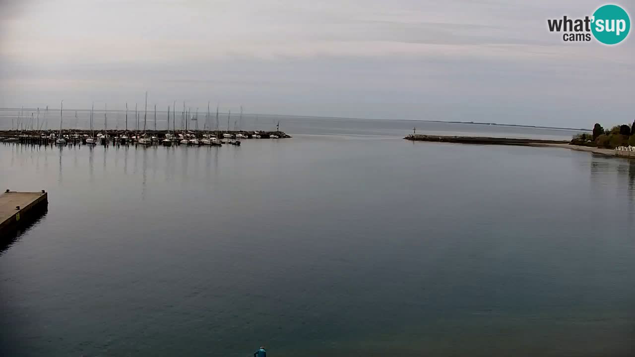 Webcam Sistiana – Vista sobre la marina y la bahía