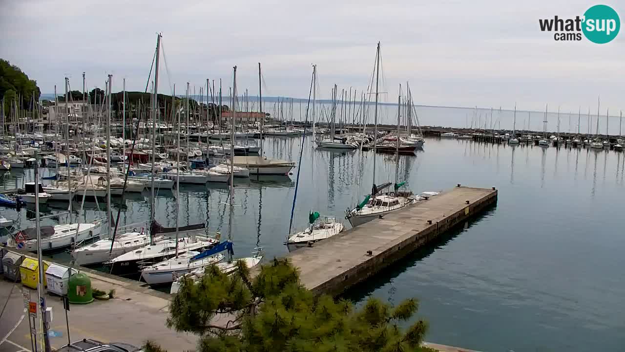 Spletna kamera Sesljan (Sistiana) – Pogled na marino in zaliv