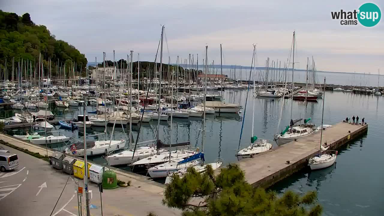 Webcam Sistiana – Blick auf Marina und Bucht