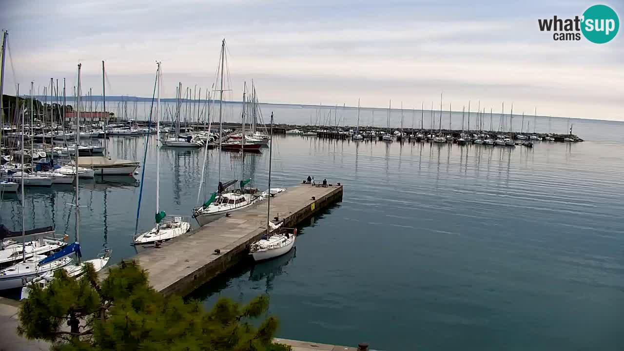 Webcam Sistiana – Blick auf Marina und Bucht