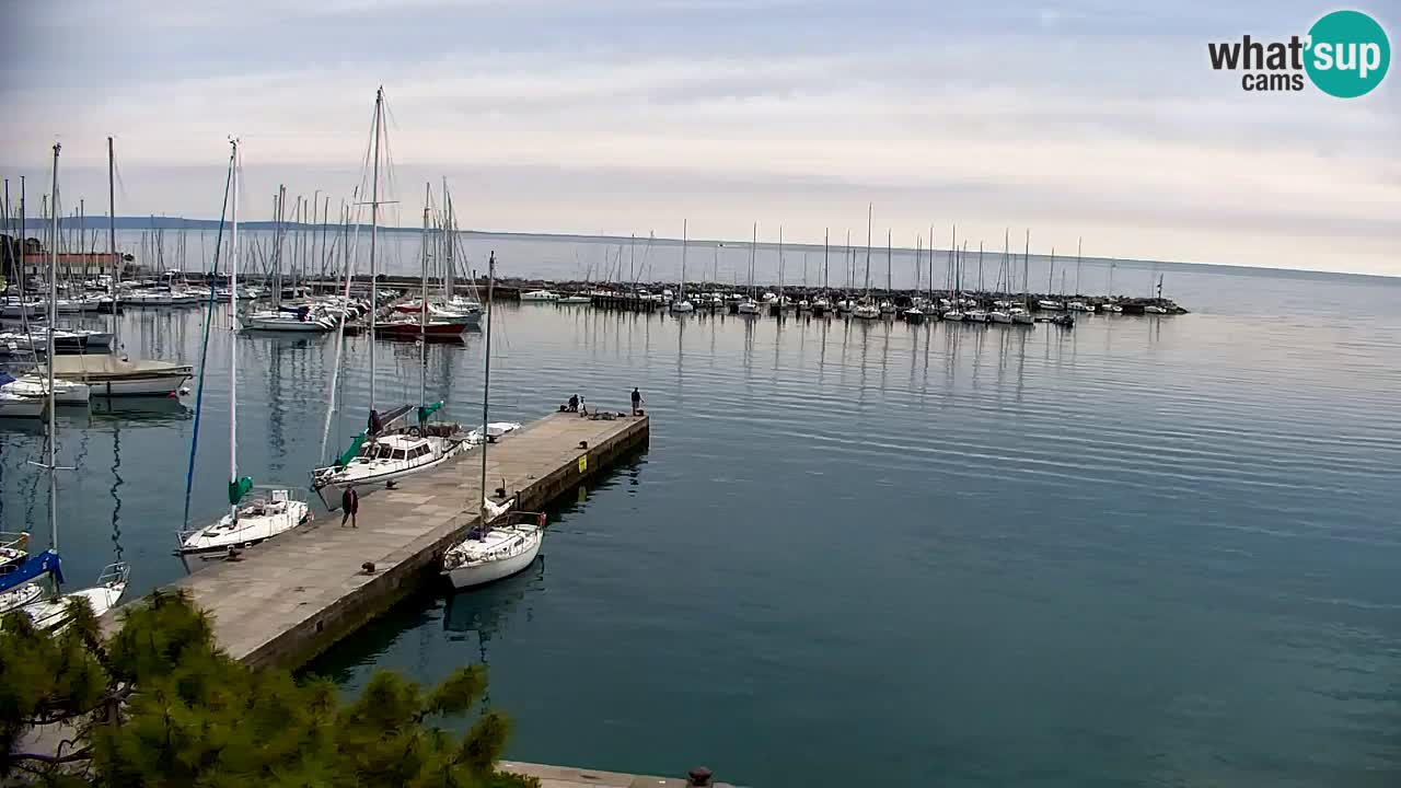 Webcam Sistiana – Marina and Bay Live View