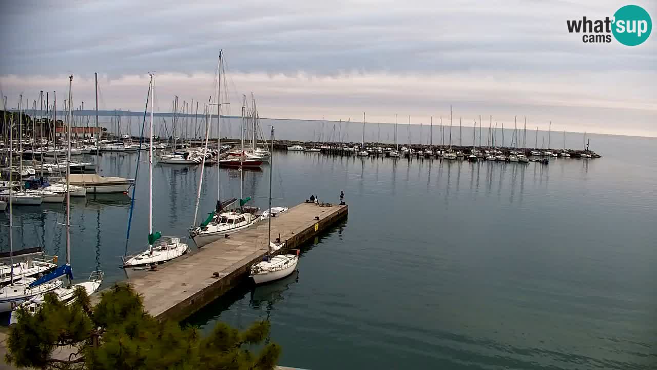 Webcam Sistiana – Vista sulla marina e sulla baia