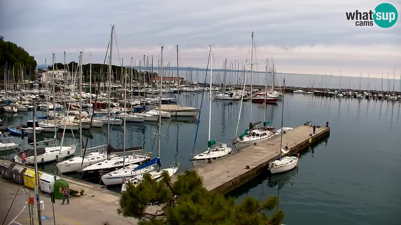 Webcam Sistiana – Marina and Bay Live View