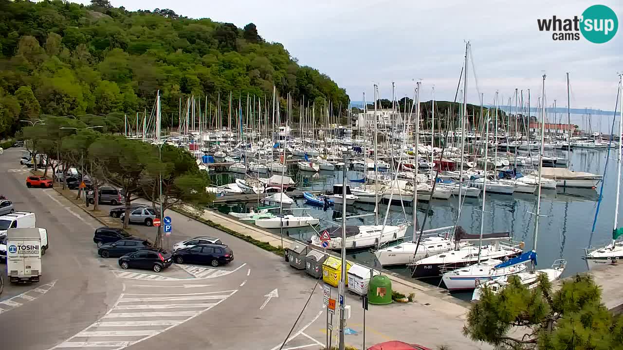 Webcam Sistiana – Marina and Bay Live View