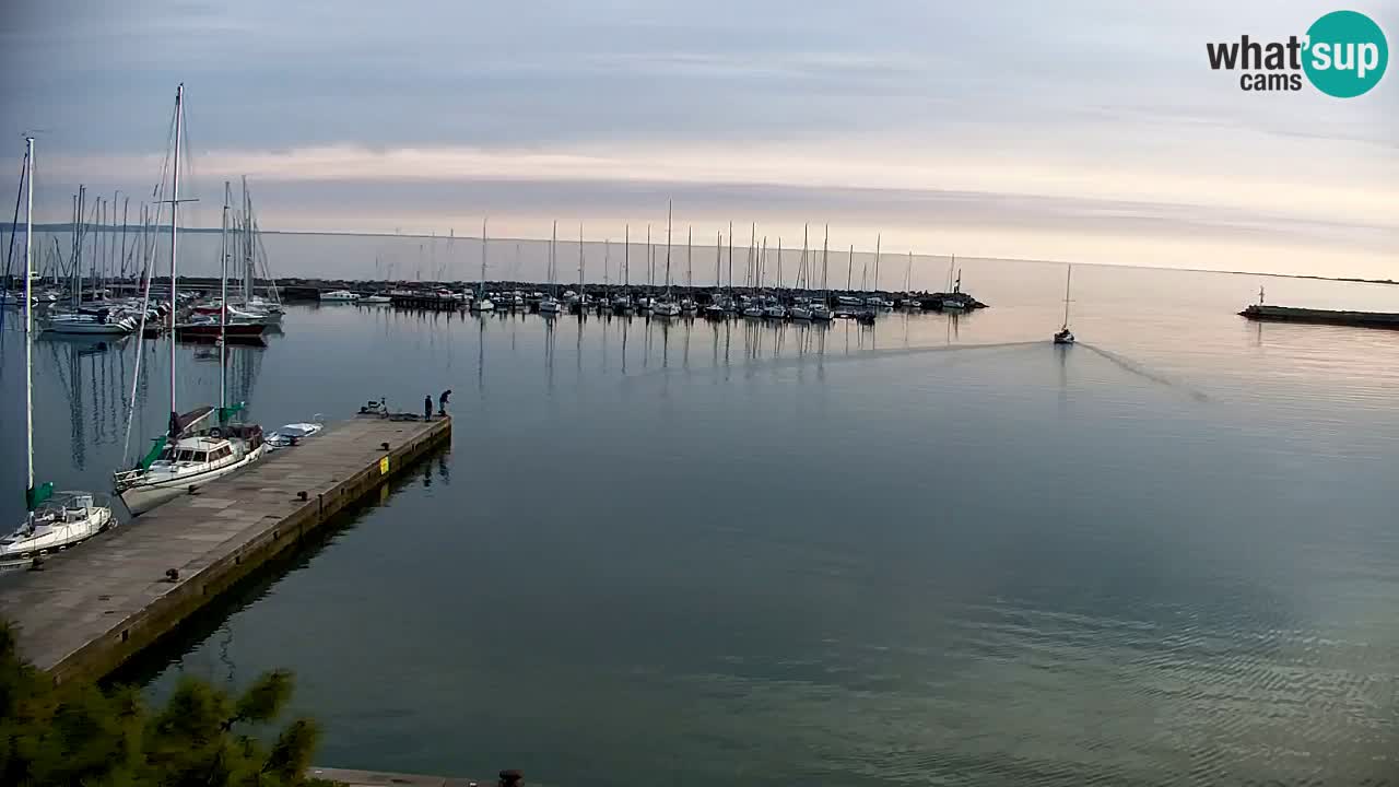 Webcam Sistiana – Blick auf Marina und Bucht