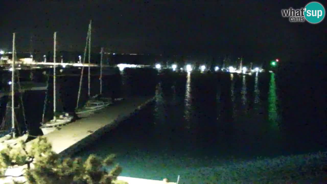 Spletna kamera Sesljan (Sistiana) – Pogled na marino in zaliv