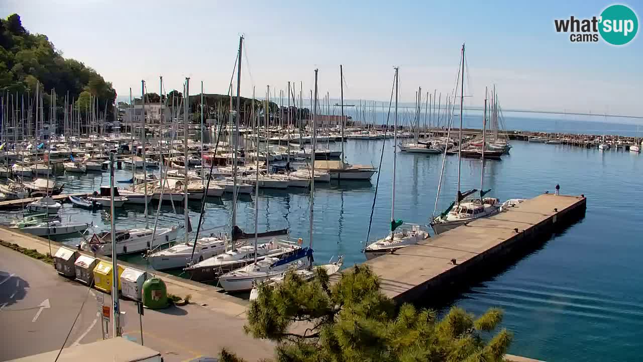 Webcam Sistiana – Vista sobre la marina y la bahía