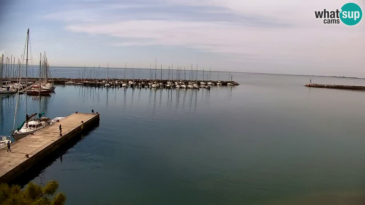 Webcam Sistiana – Marina and Bay Live View