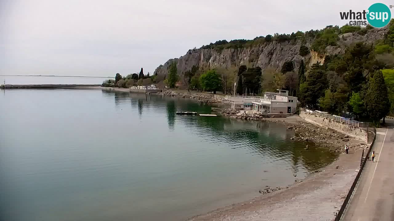 Spletna kamera Sesljan (Sistiana) – Pogled na marino in zaliv