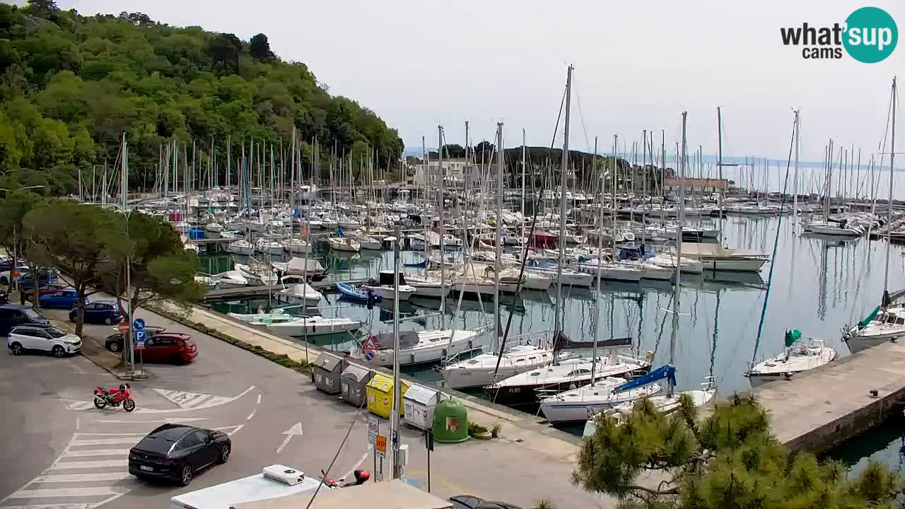 Webcam Sistiana – Vista sulla marina e sulla baia