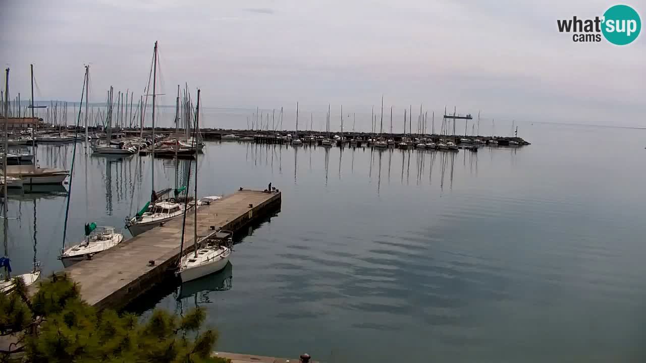 Spletna kamera Sesljan (Sistiana) – Pogled na marino in zaliv