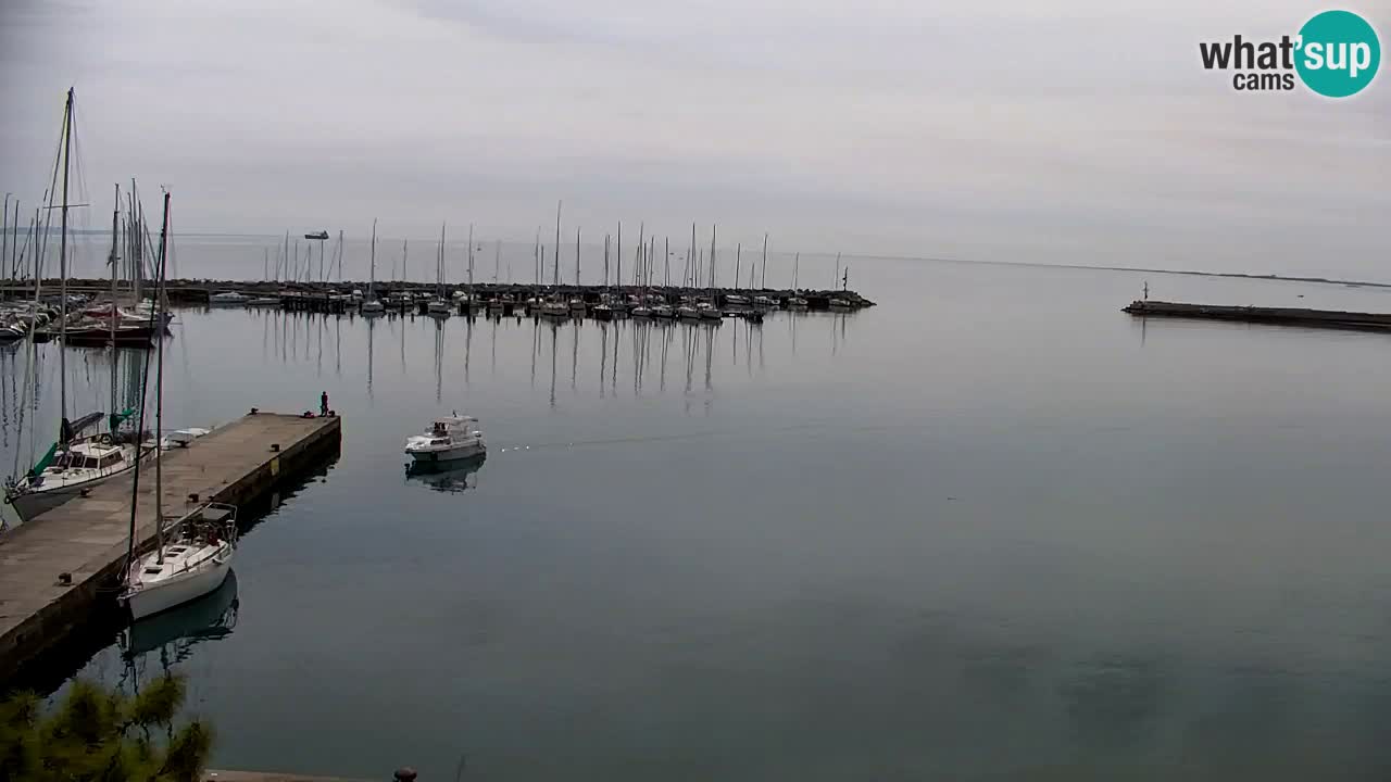 Spletna kamera Sesljan (Sistiana) – Pogled na marino in zaliv