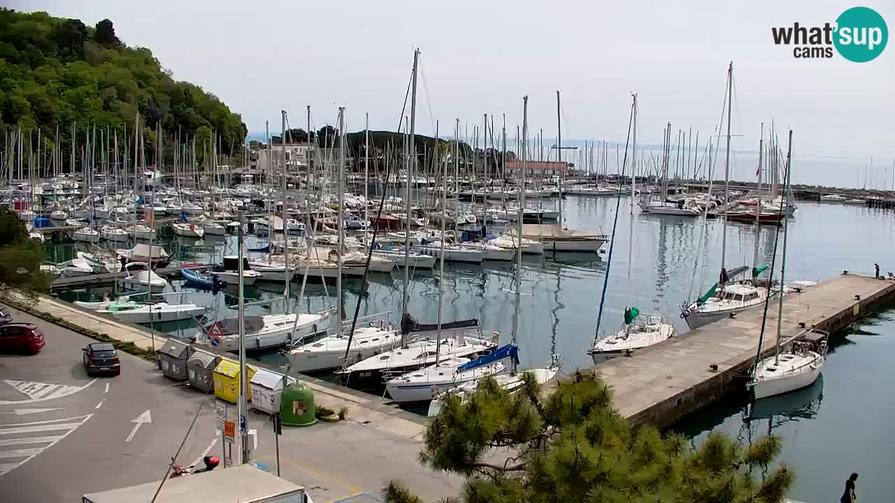 Spletna kamera Sesljan (Sistiana) – Pogled na marino in zaliv