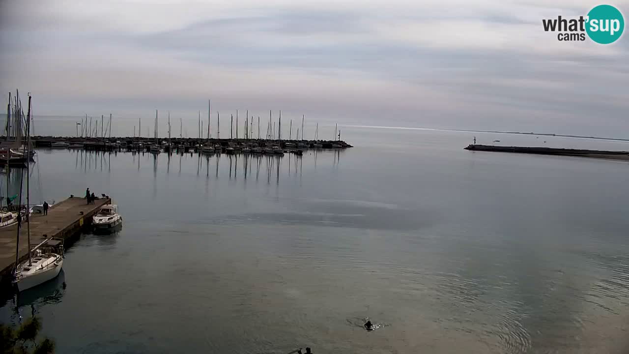 Spletna kamera Sesljan (Sistiana) – Pogled na marino in zaliv