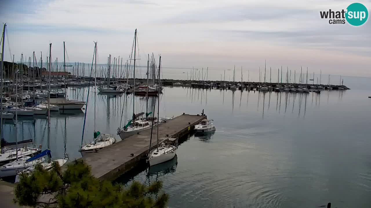 Spletna kamera Sesljan (Sistiana) – Pogled na marino in zaliv