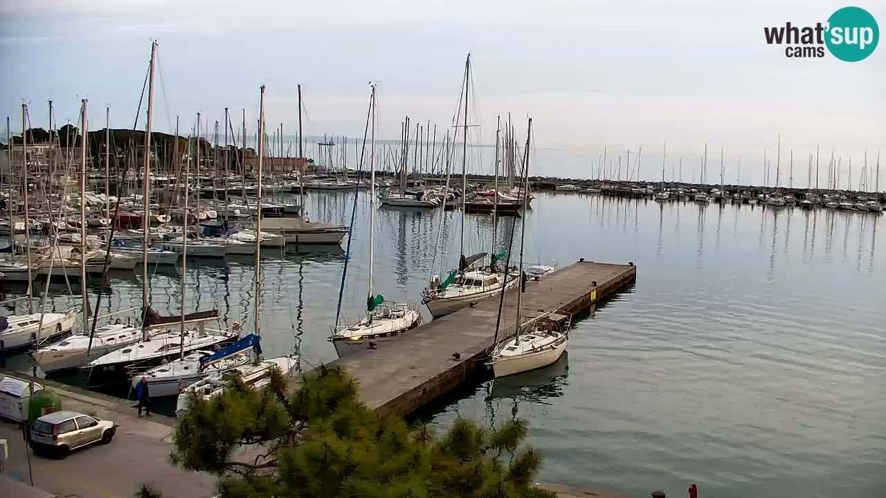 Spletna kamera Sesljan (Sistiana) – Pogled na marino in zaliv