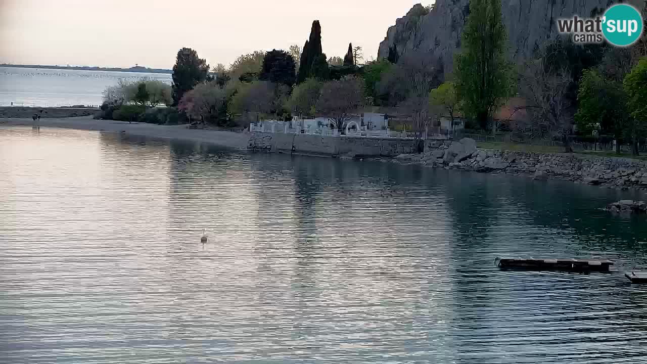 Spletna kamera Sesljan (Sistiana) – Pogled na marino in zaliv