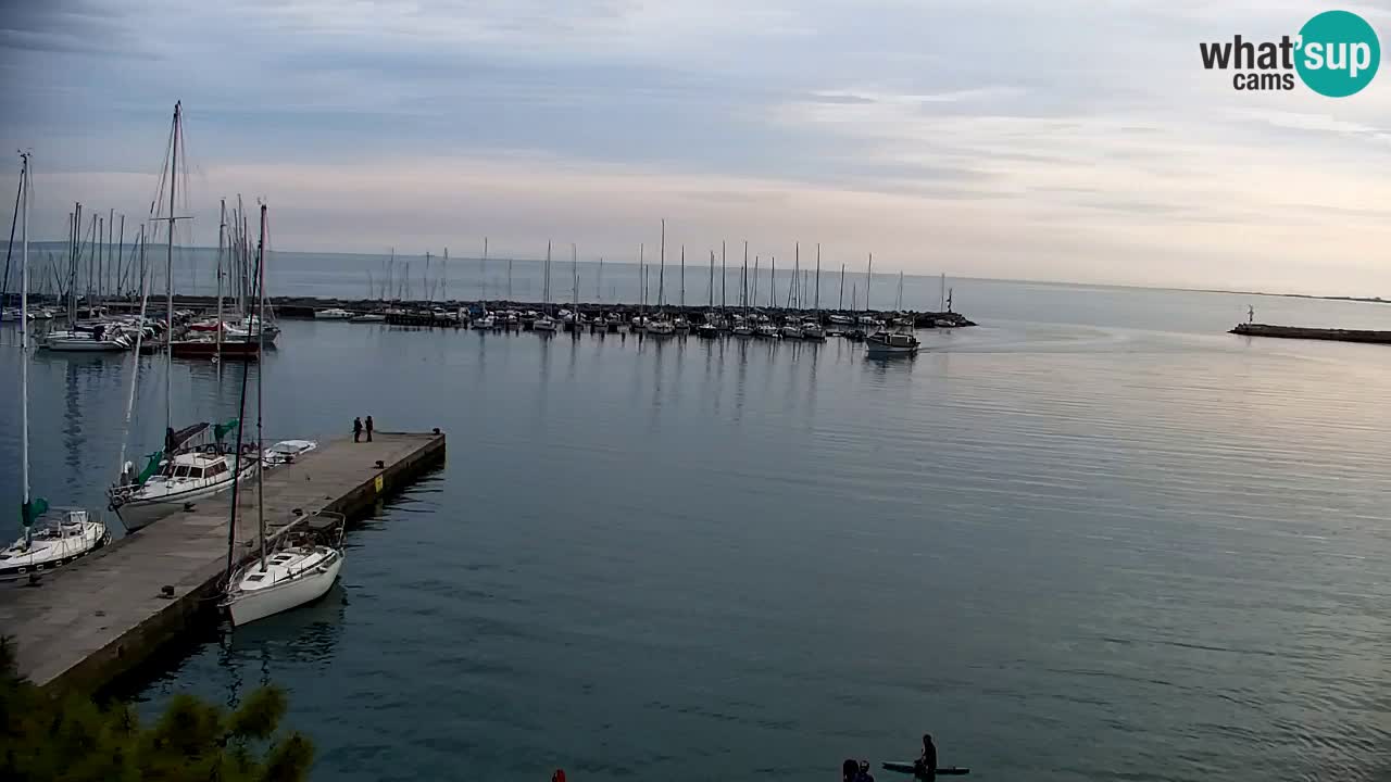 Webcam Sistiana – Vista sulla marina e sulla baia
