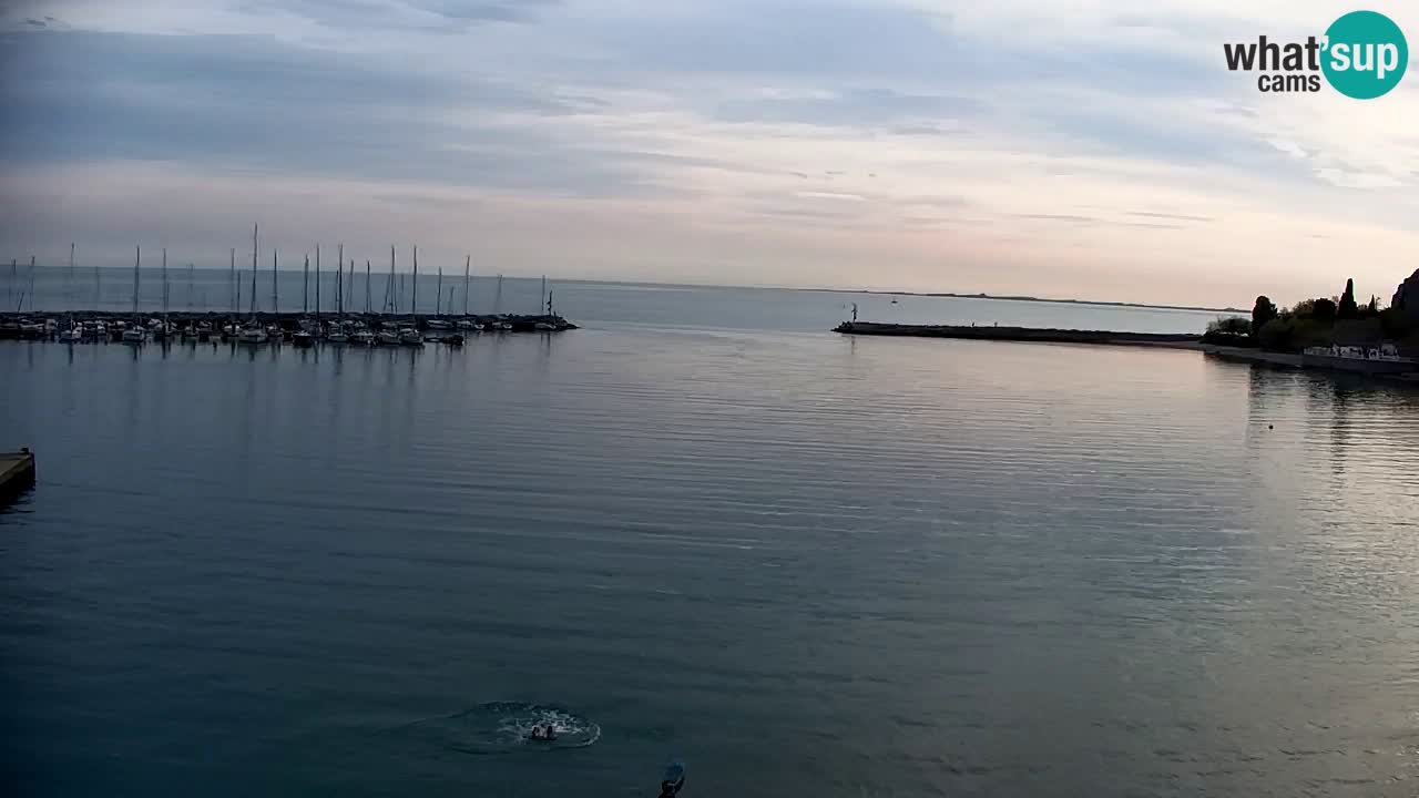 Webcam Sistiana – Vista sobre la marina y la bahía