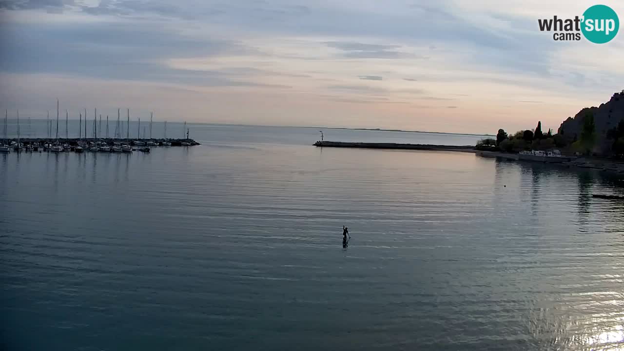 Webcam Sistiana – Marina and Bay Live View