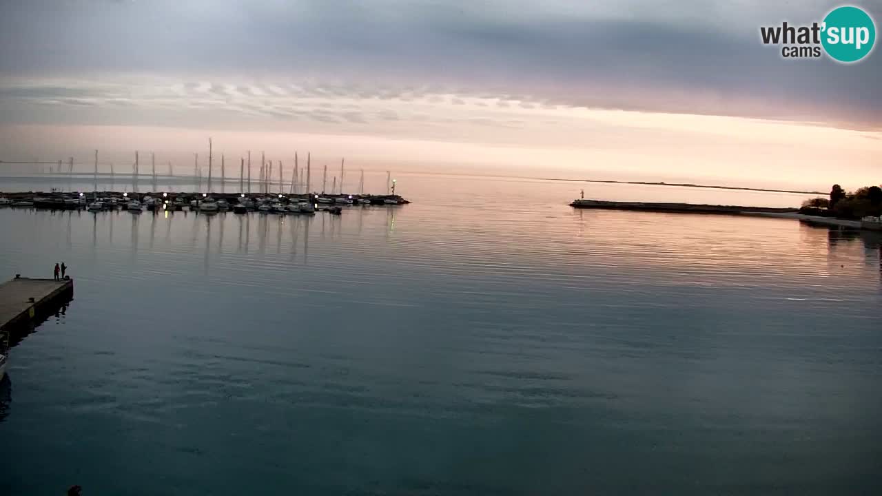 Webcam Sistiana – Pogled na marinu i zaljev