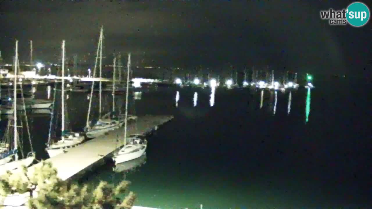 Webcam Sistiana – Marina and Bay Live View